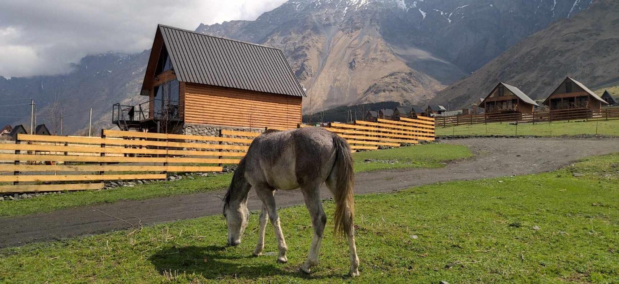 Traveler'S Cottages In Kazbegi Bagian luar foto